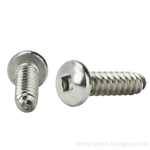 Square Drive Pan Head Stainless Steel Self-tapping Screw